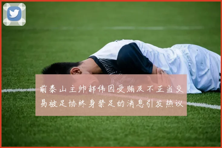 前泰山主帅郝伟因受贿及不正当交易被足协终身禁足的消息引发热议