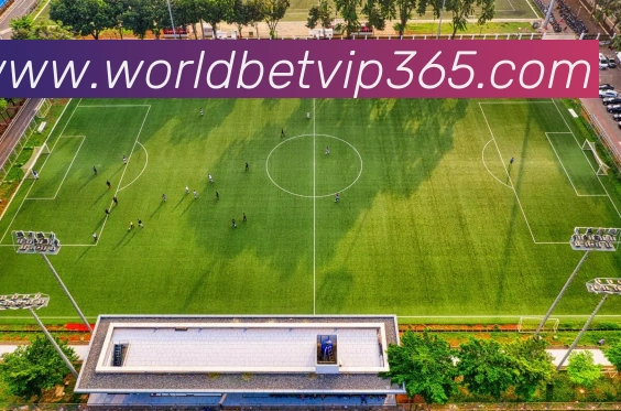 365体育APP 封面图